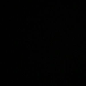 Meet your Posher, Gabby